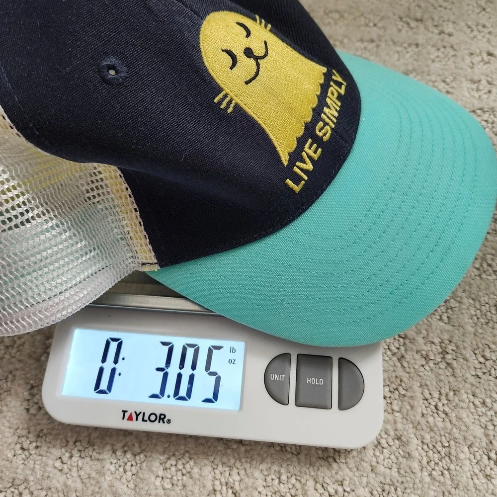 Patagonia Kids Live Simply Seal Trucker Hat‎ Navy Teal Snapback Mesh Cap